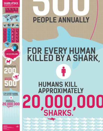 Iconograph showing shark bite statistics